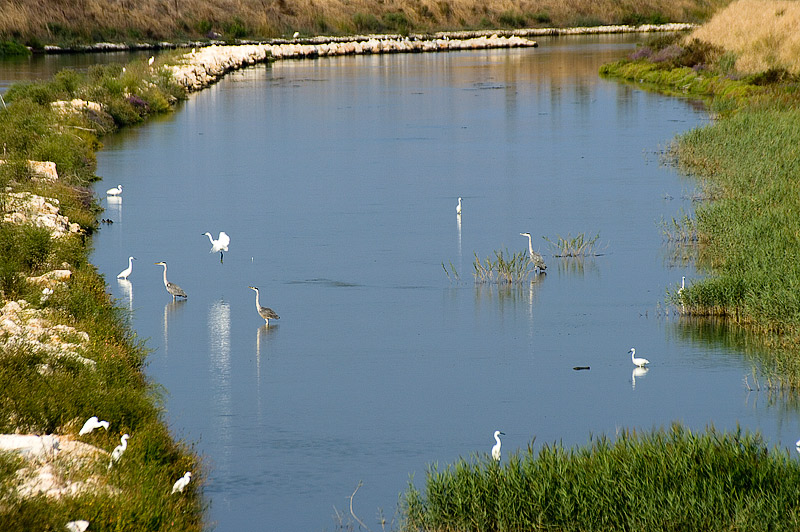 Mar Piccolo e l''oasi WWF La Vela